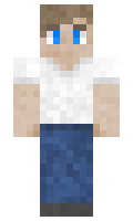 DESONT minecraft skin