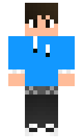 hin minecraft skin