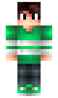 7decd71d0d9bcc minecraft skin