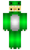 VitIsme minecraft skin