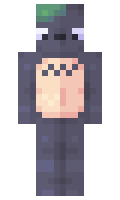 domino minecraft skin