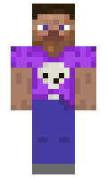 7ec888082b8523 minecraft skin