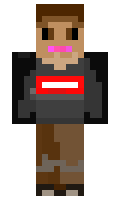 ohEvqn minecraft skin