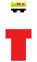 NikeePL minecraft skin