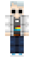 SignalReturn minecraft skin