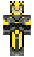 OcelotRiderVI minecraft skin