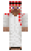 saviski minecraft skin