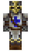 Varden17 minecraft skin