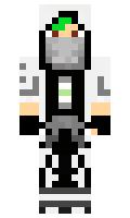 Gansde minecraft skin
