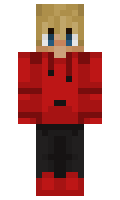 ProBuilders101 minecraft skin