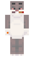 Cw4O minecraft skin