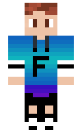 FDL300 minecraft skin