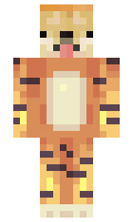 CDisce minecraft skin