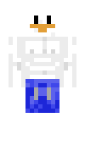 8011a0b66adc16 minecraft skin