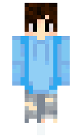 FidgetyZebra849 minecraft skin