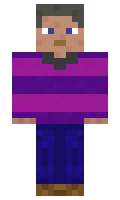 DRTarran678 minecraft skin