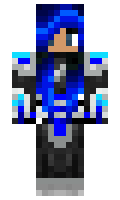 8027158f790860 minecraft skin