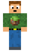 80308031fac9c6 minecraft skin