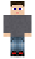 Pman8362 minecraft skin