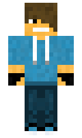 the1 minecraft skin