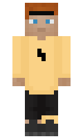Disguys minecraft skin