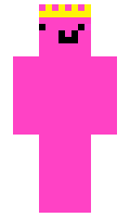 8054e6c08a8a19 minecraft skin