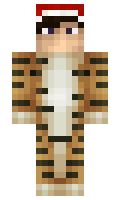 diamonds minecraft skin