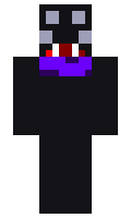 806b083f94435f minecraft skin
