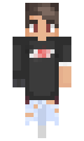 239 minecraft skin
