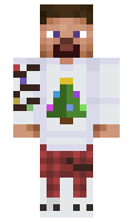 80936394d6a171 minecraft skin