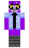 jideaum minecraft skin
