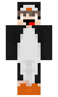 manimani1 minecraft skin