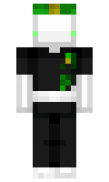 81033d11233317 minecraft skin