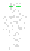 Enderdavid09 minecraft skin