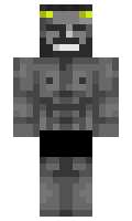 acasasimio minecraft skin