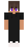 811b0d6e3a375f minecraft skin