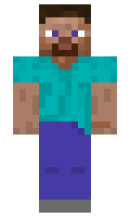 8126aefd2fa8a1 minecraft skin