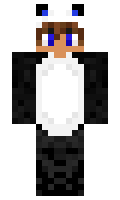 8127616c68b55f minecraft skin