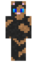 81771c71594d74 minecraft skin