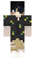 8180df8a70c065 minecraft skin