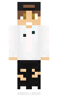 robzi minecraft skin