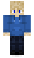 paahenrik minecraft skin