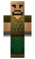 81e4e6f445d152 minecraft skin