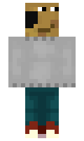 Renartoz minecraft skin