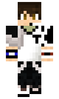 820e76ac661e3f minecraft skin