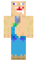 1146 minecraft skin