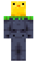 hop minecraft skin