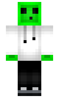 svat minecraft skin