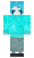 82409843513811 minecraft skin