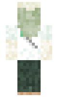 Isagme minecraft skin